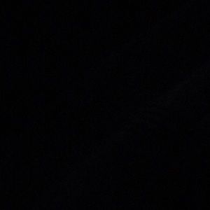 Meet your Posher, Phillip